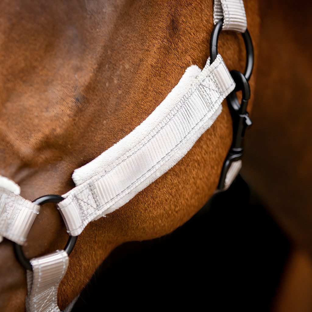 holland-animal-care-excellent-horse-halfter-grau-2.jpg